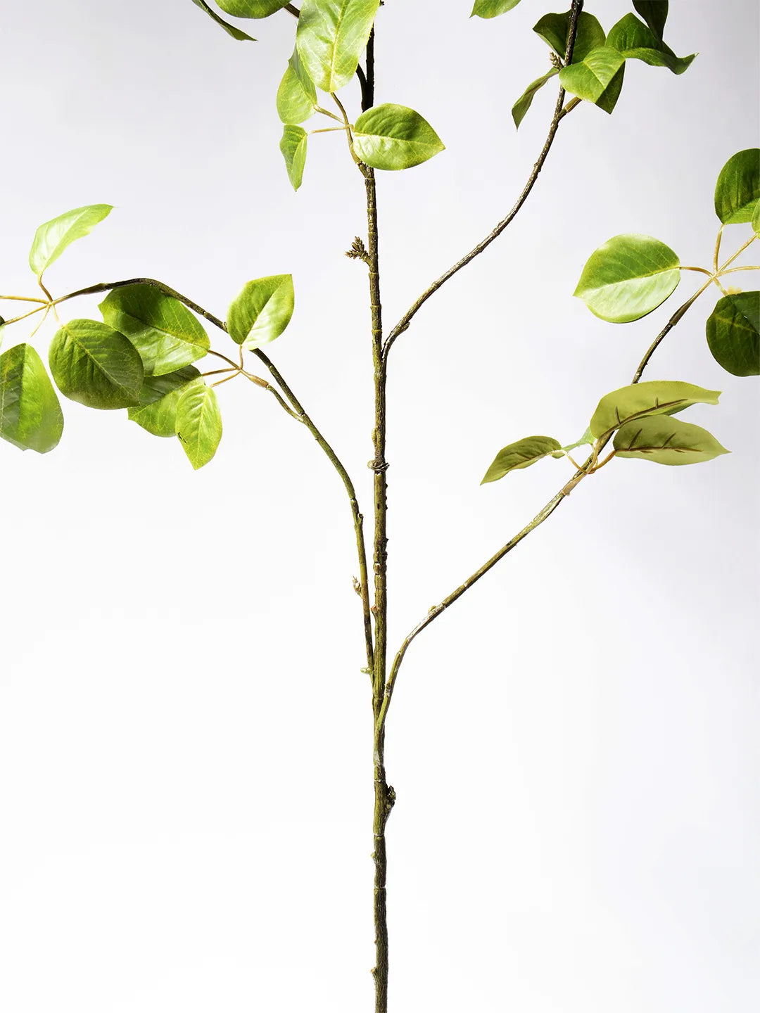 Zijden bladsteel Baby Schefflera in groen – 120 cm lang