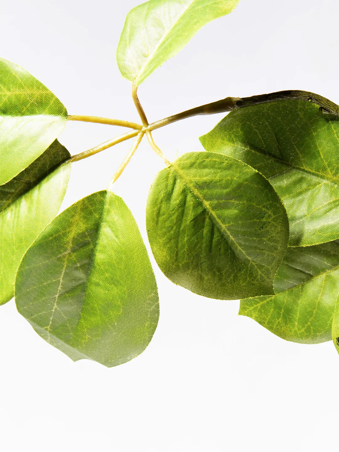 Detail van zijden Baby Schefflera blad – groen, 120 cm