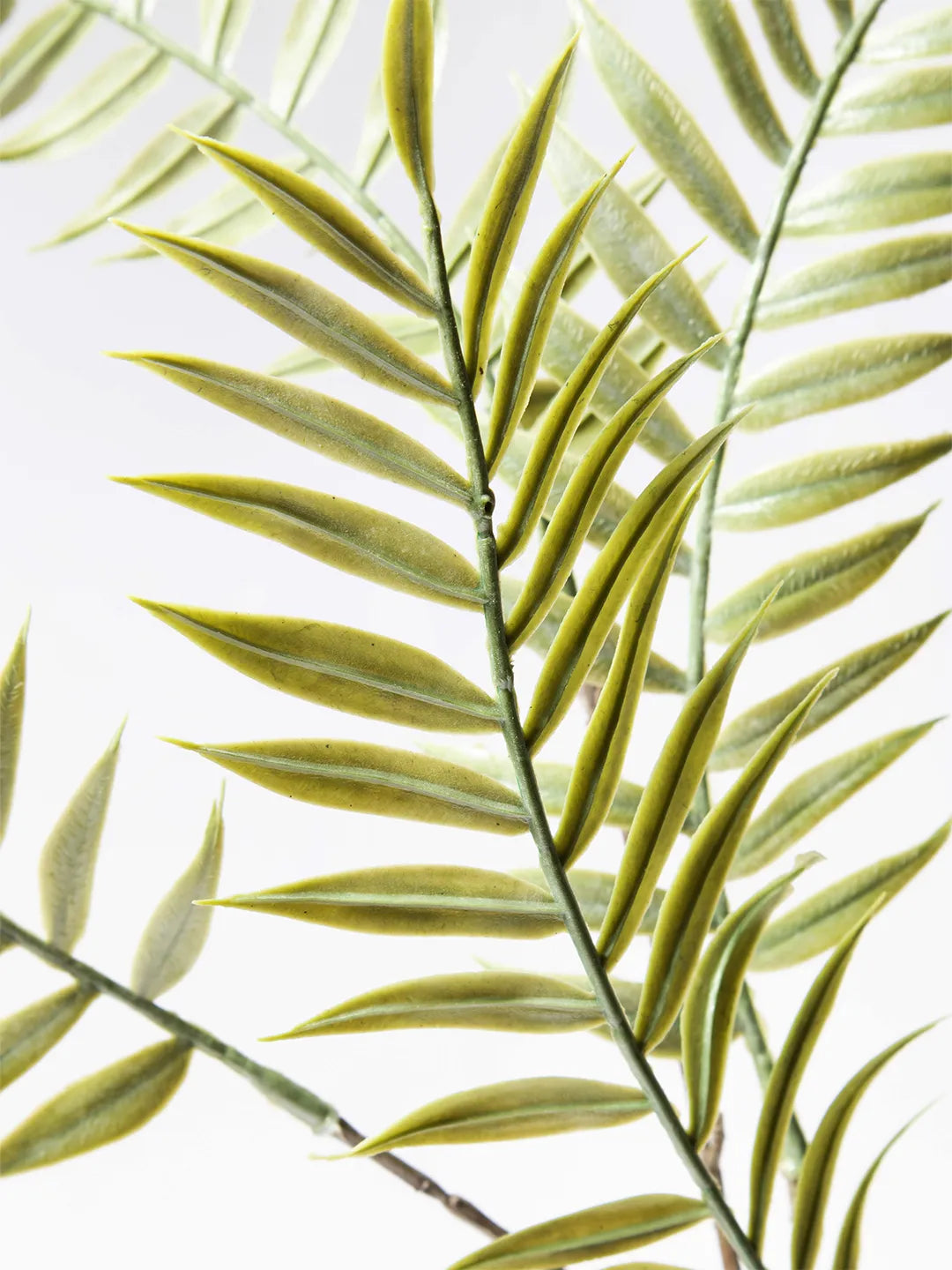 Detail van groene zijden varen – 105 cm