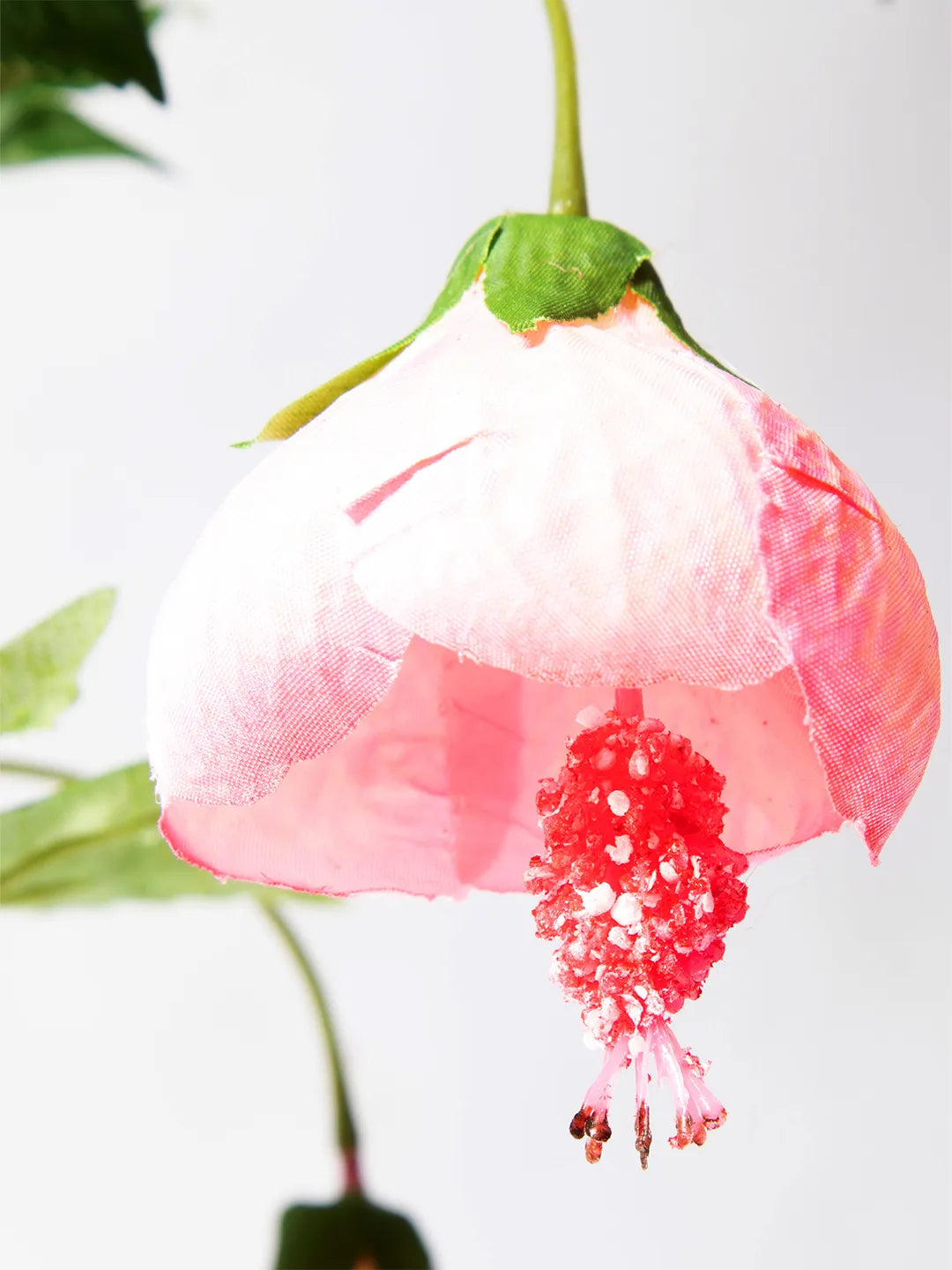 Detail van roze zijden Abutilon bloem – 100 cm