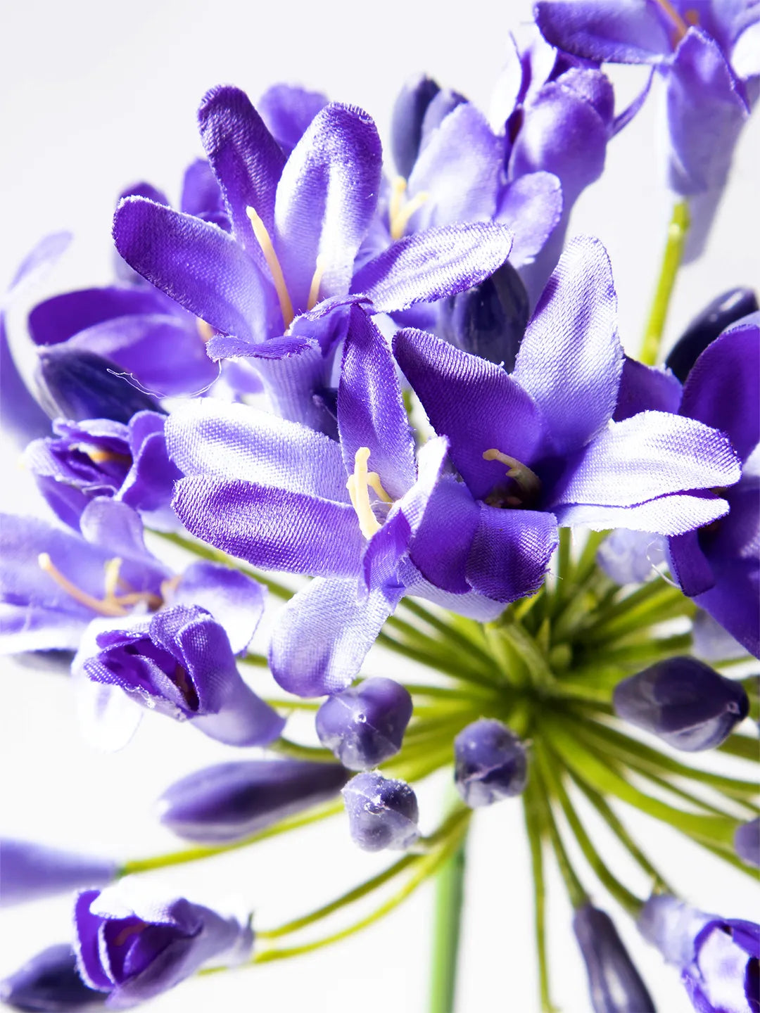 Detail van blauwe zijden Agapanthus bloem – 75 cm
