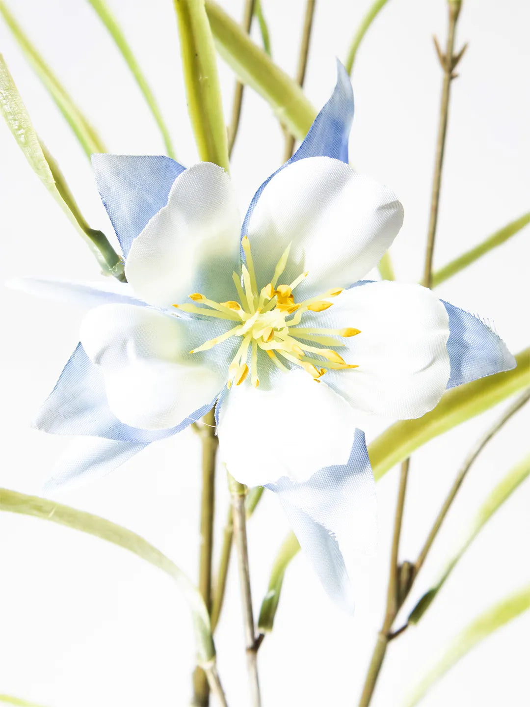 Detail van blauwe zijden Aquilegia bloem – 84 cm
