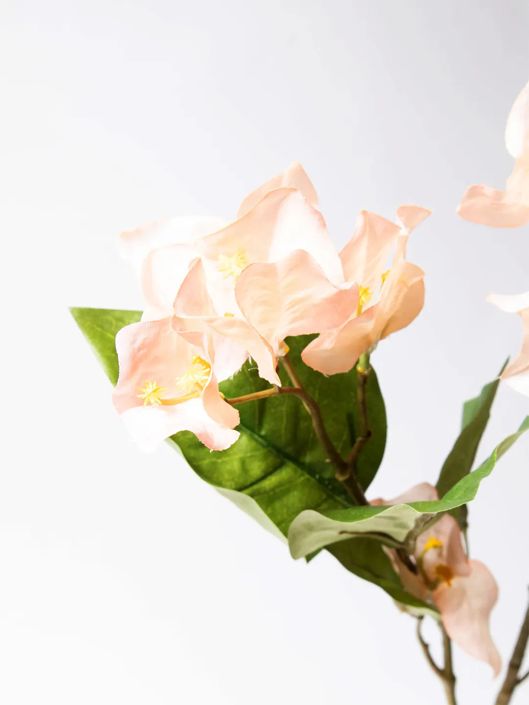 Detail van perzik-kleurige zijden Bougainvillea – 85 cm