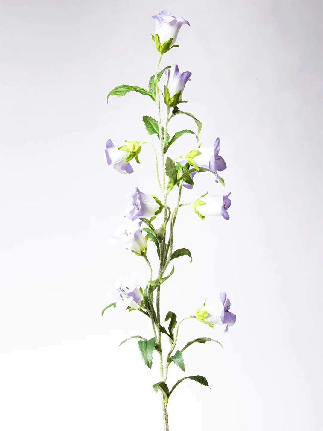 Zijden Campanula bloem in paars – 88 cm lang