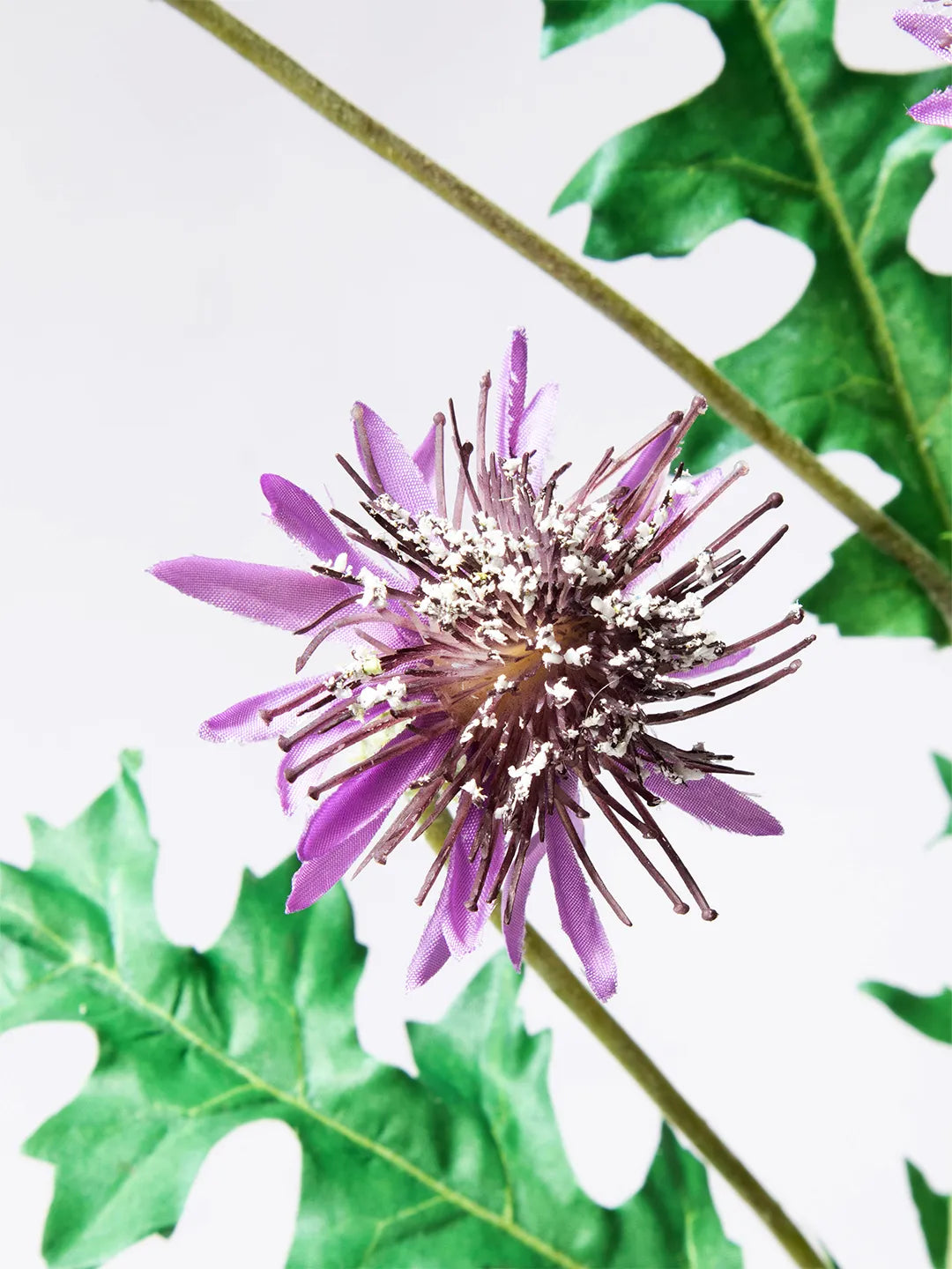 Detail van paarse zijden cornflower bloem – 90 cm