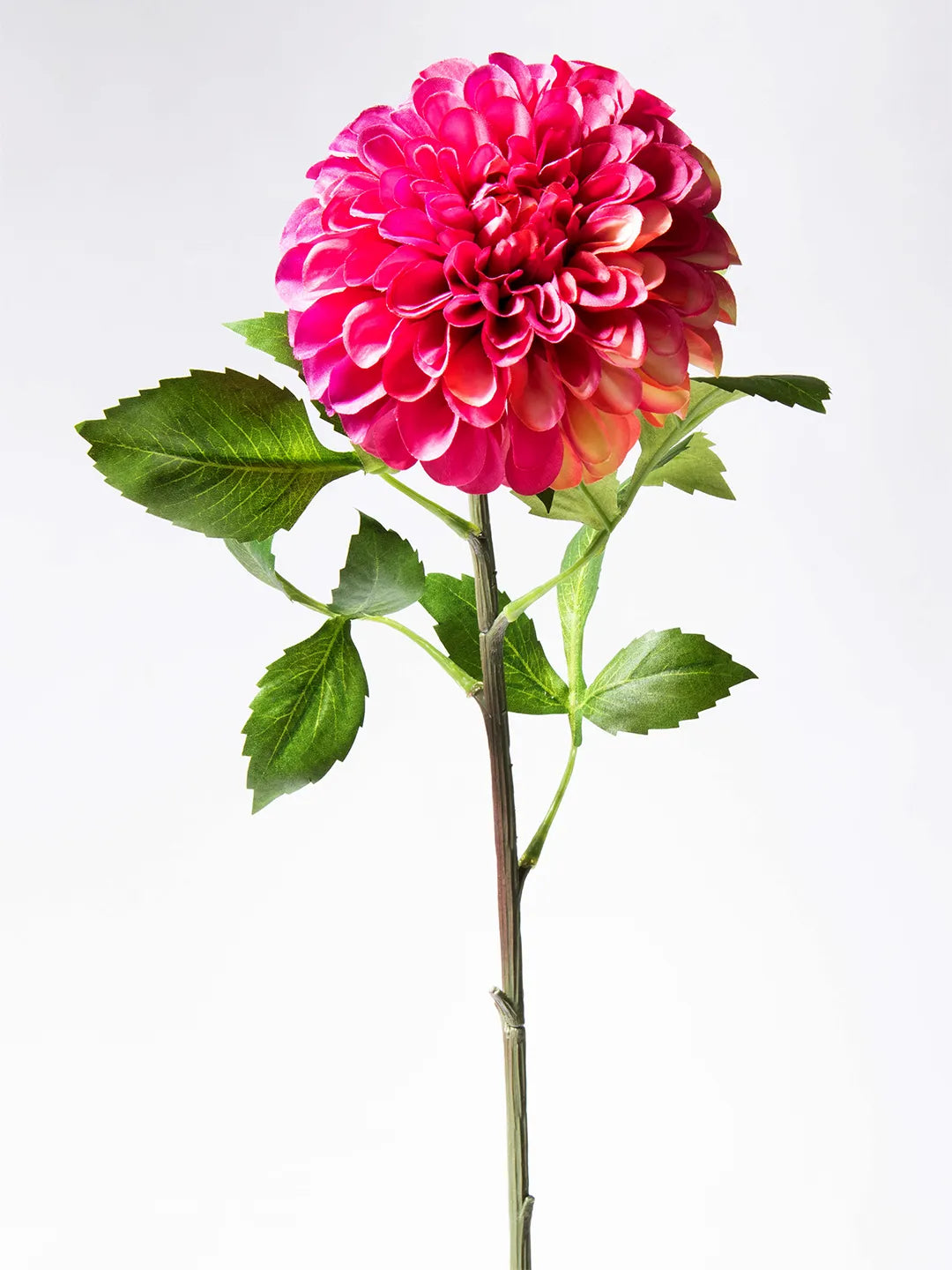 Zijden Dahlia pompon bloem in roze – 74 cm lang