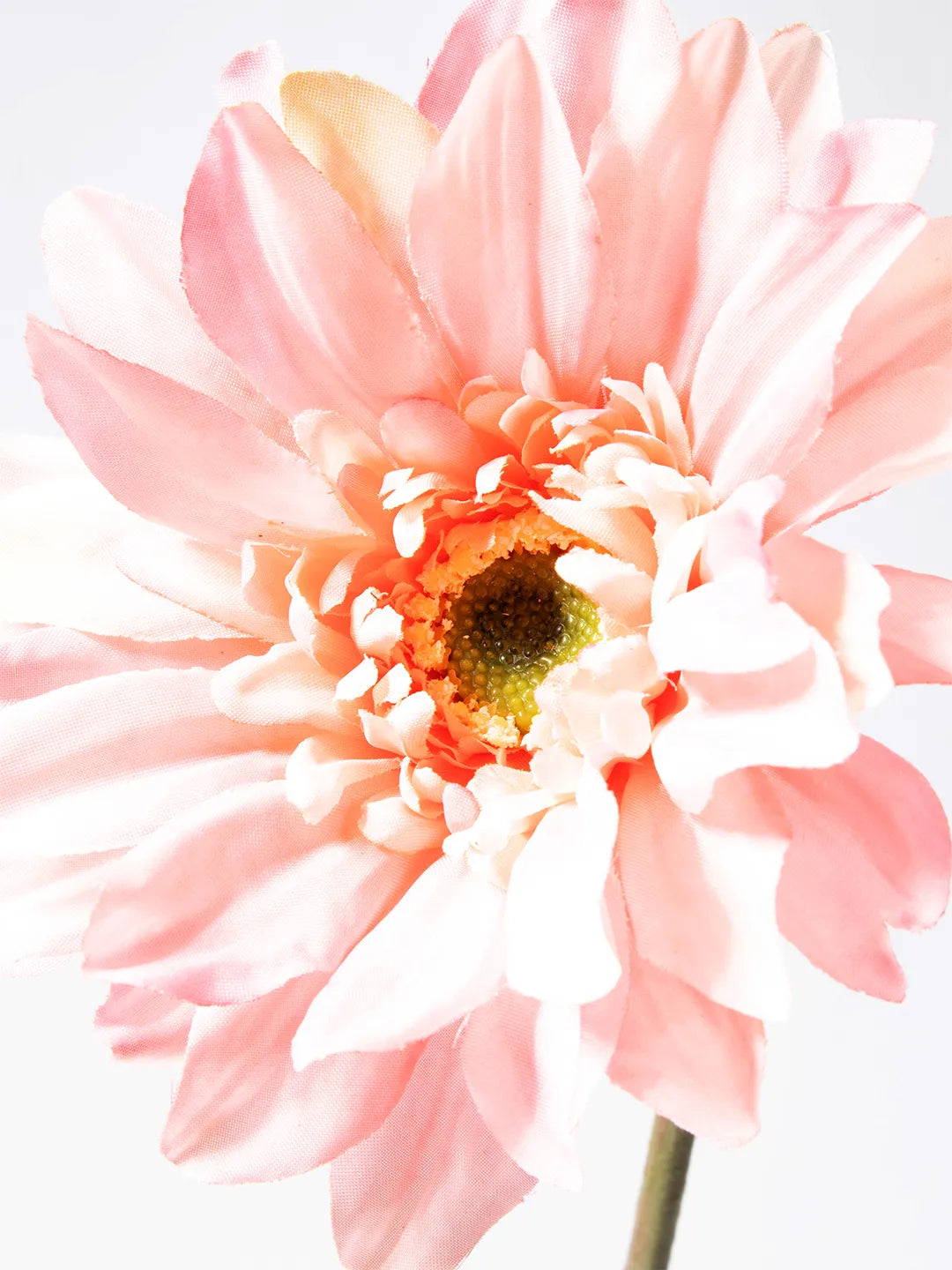 Detail van roze zijden Gerbera bloem – 63 cm