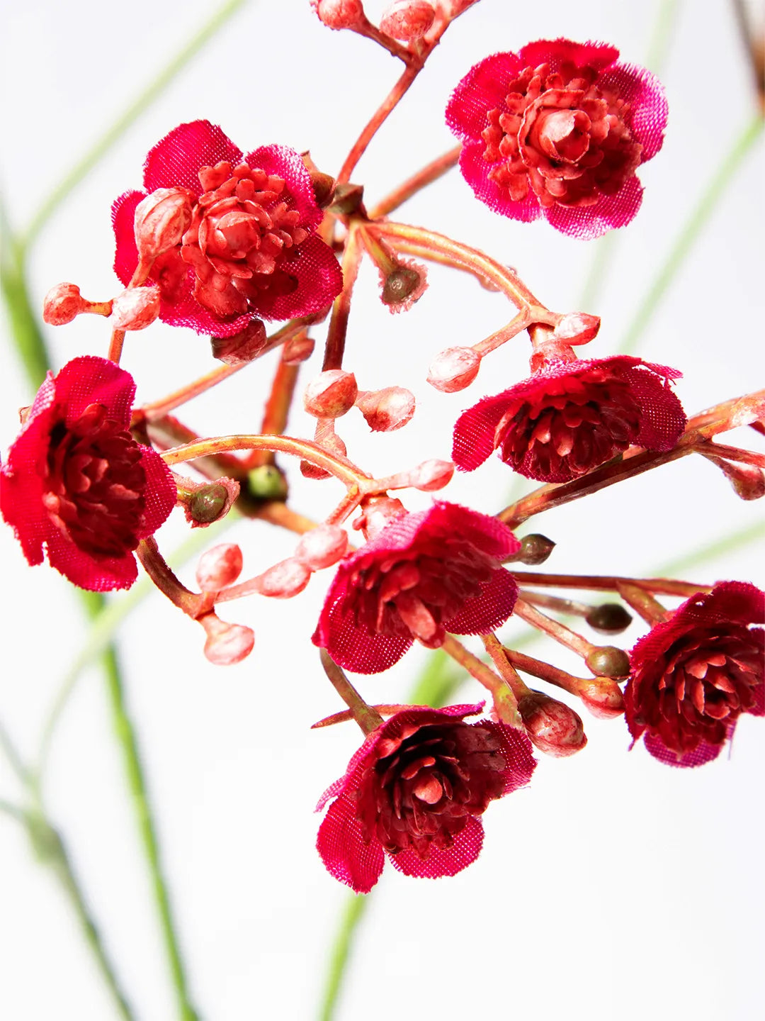 Detail van fuchsia zijden Gypsophila bloem – 68 cm