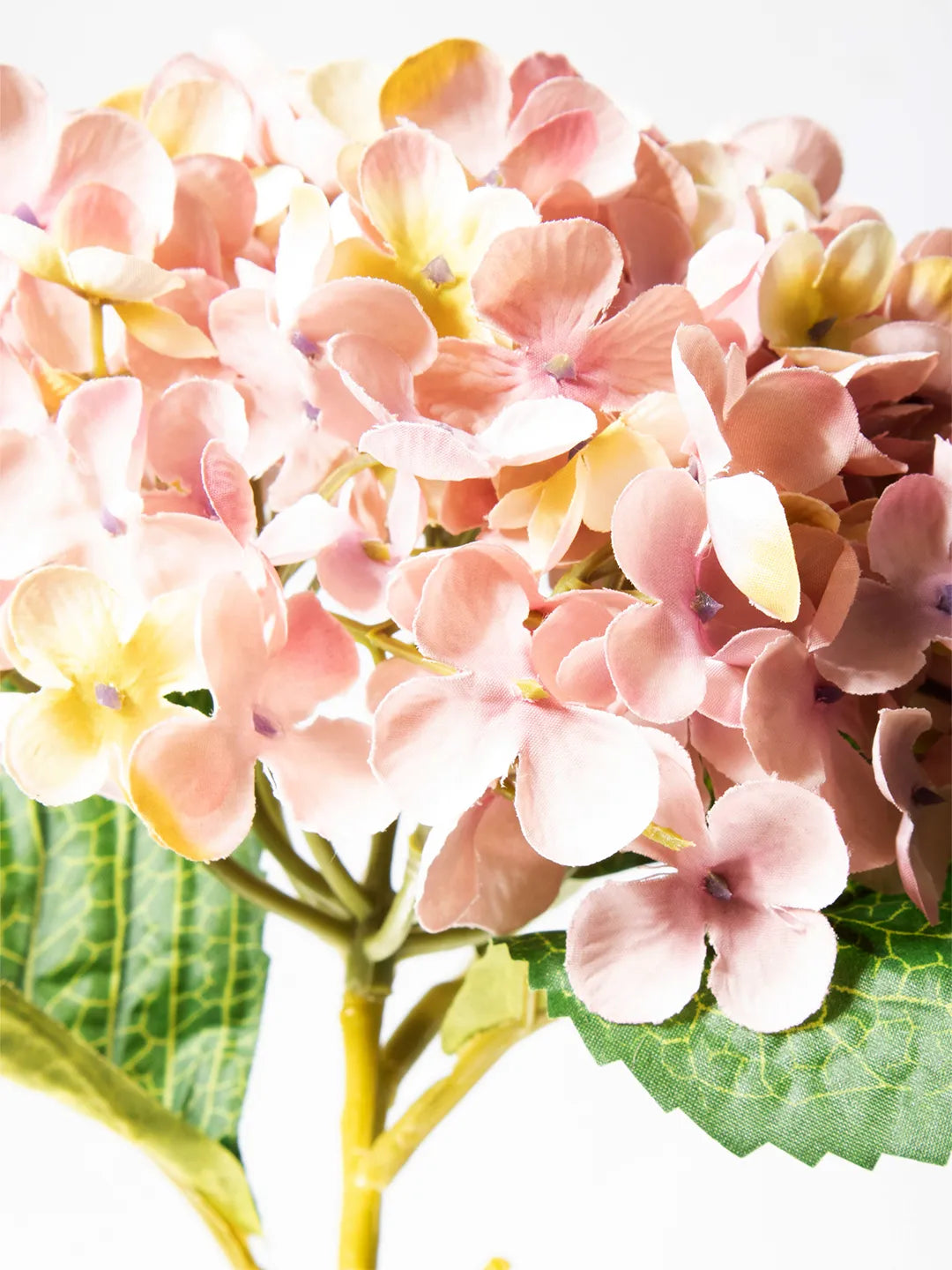 Detail van roze zijden Hydrangea Annabelle – 52 cm