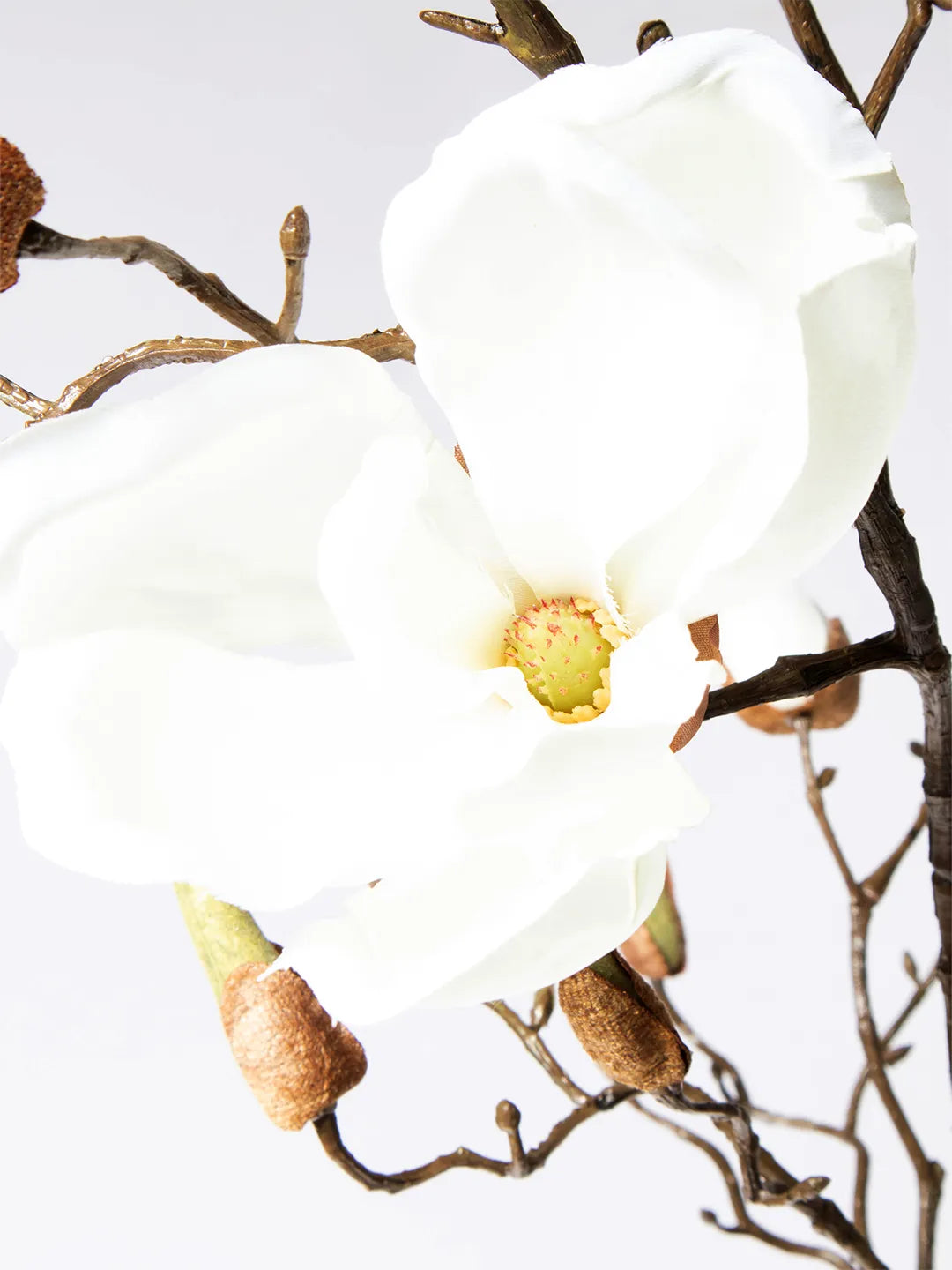 Detail van zijden magnolia in cream – 105 cm