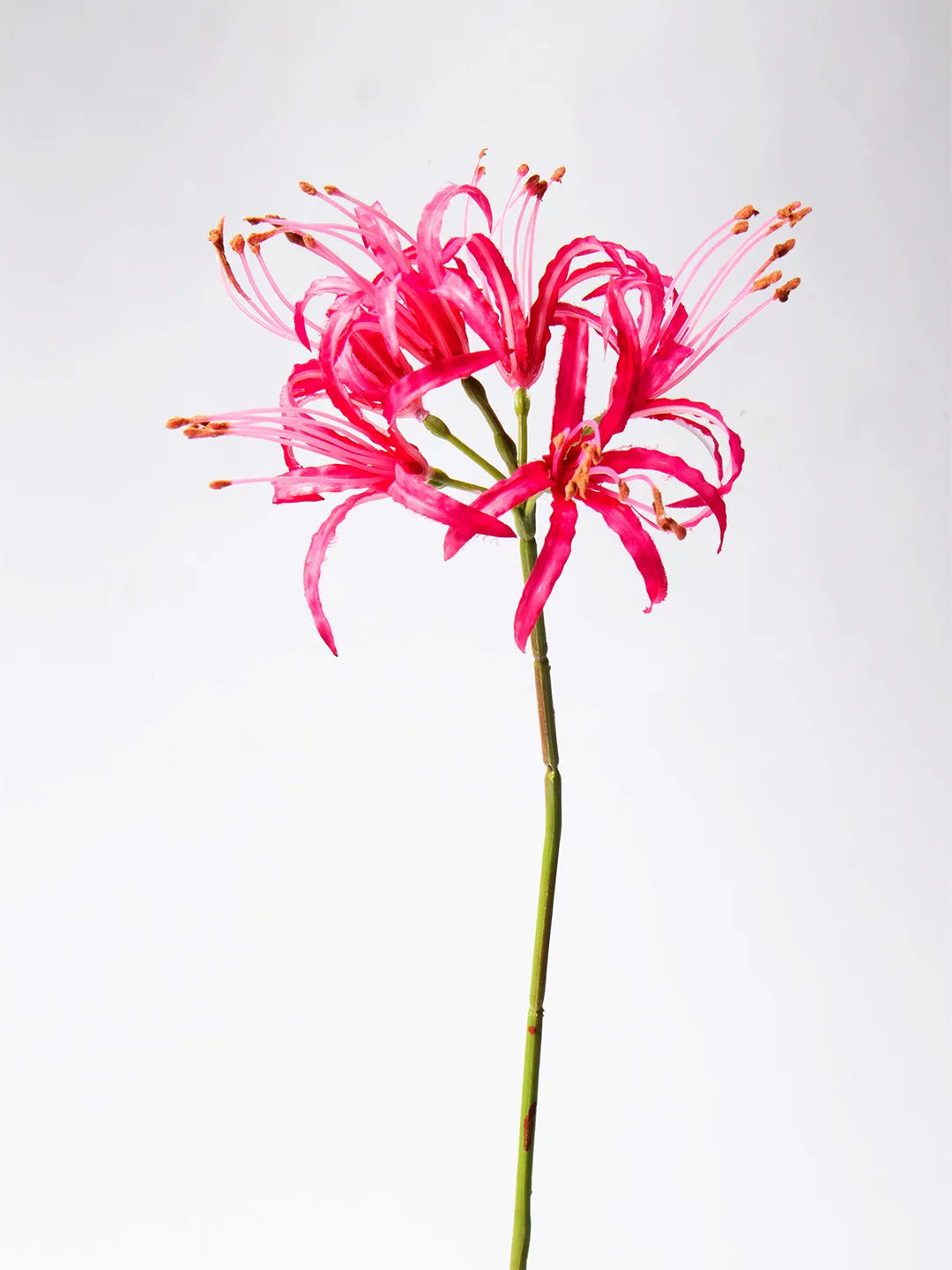 Zijden Nerine bloem in roze – 63 cm lang