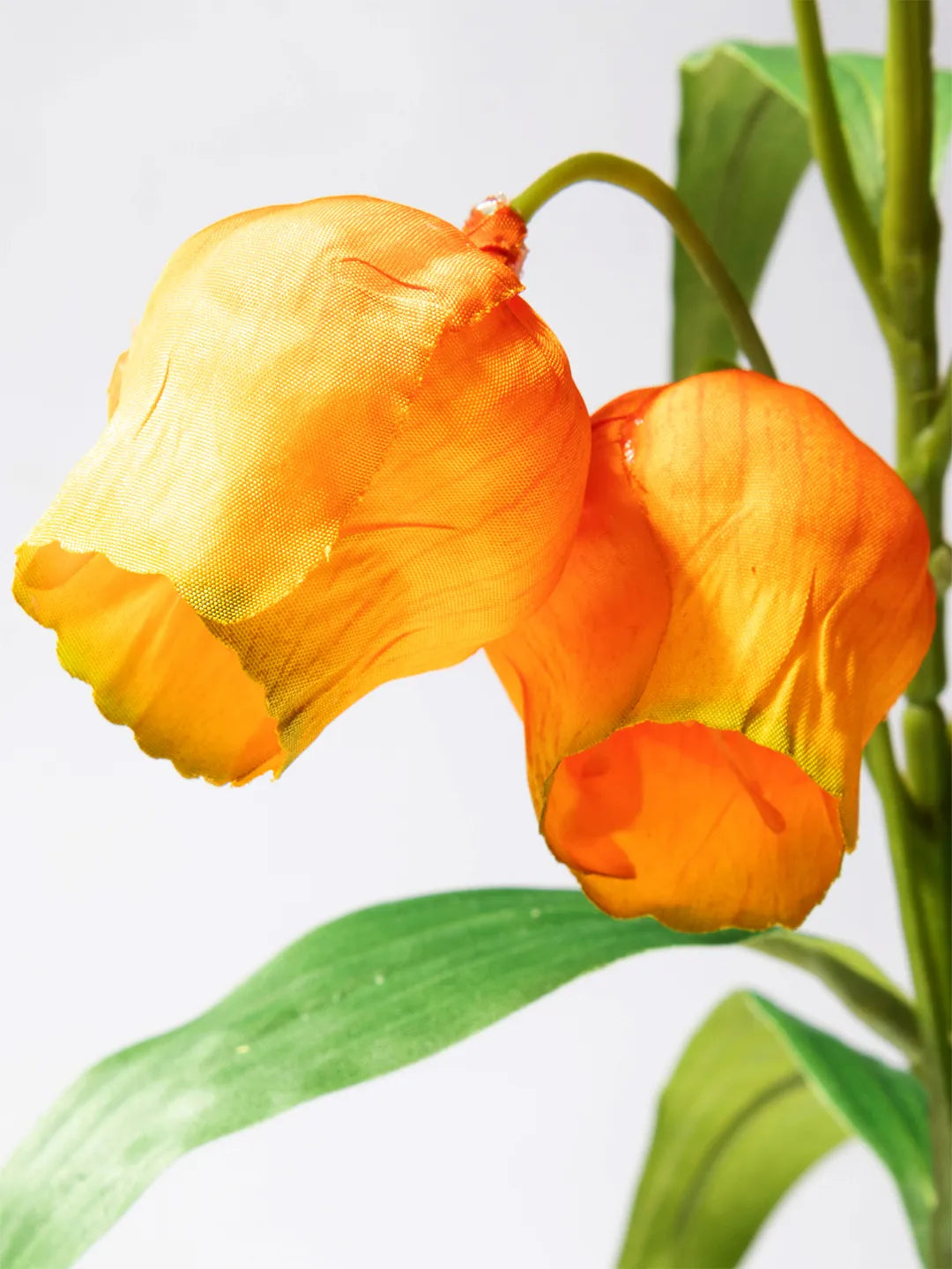 Detail van oranje zijden Sandersonia – 97 cm