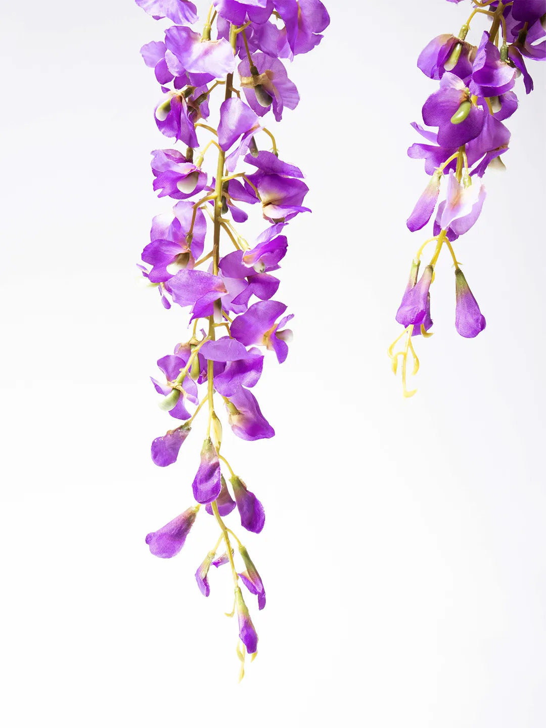 Detail van paarse zijden Wisteria bloem – 145 cm